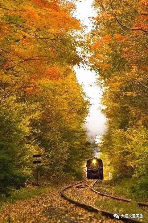 太阳成集团tyc7111cc|李克强总理和捷克总理索博特卡出席国家旅游局与捷克地方发展部合作文件签字仪式(图1) 太阳成集团tyc7111cc