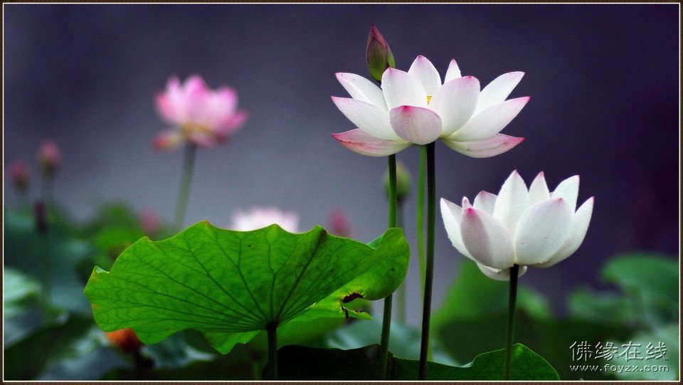 太阳成集团tyc7111cc