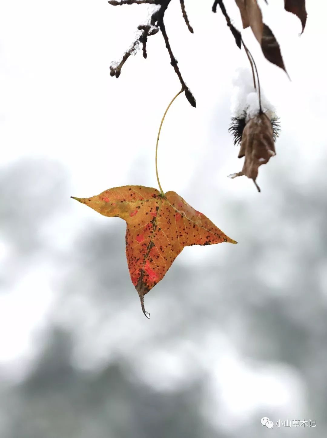 太阳成集团tyc7111cc