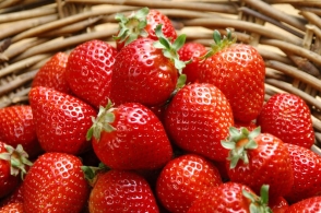 太阳成集团tyc7111cc