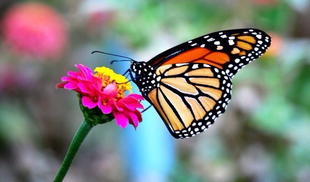 太阳成集团tyc7111cc