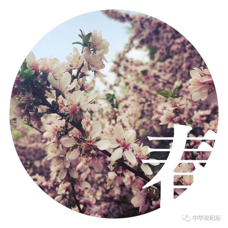 太阳成集团tyc7111cc