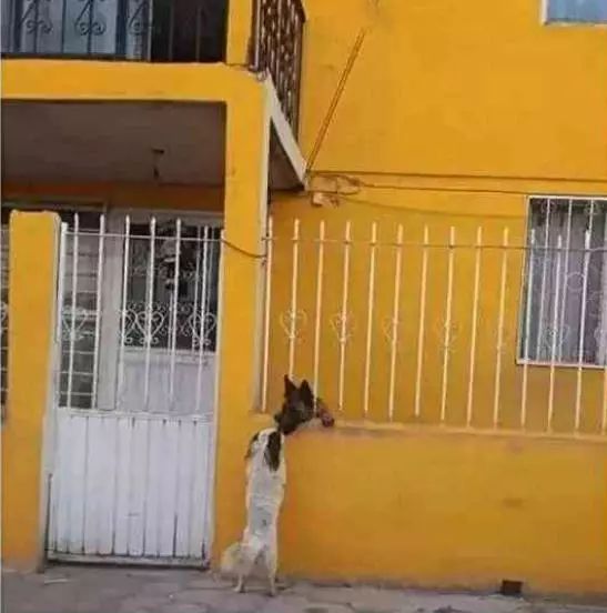 太阳成集团tyc7111cc