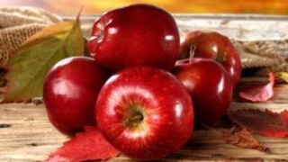 太阳成集团tyc7111cc