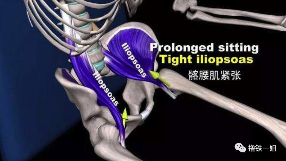太阳成集团tyc7111cc