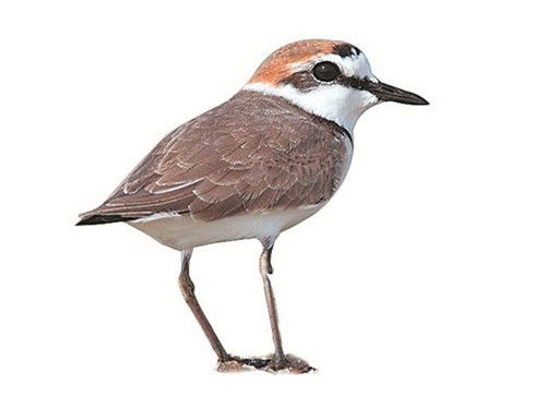 太阳成集团tyc7111cc