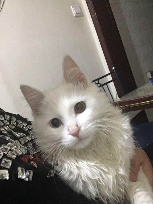 太阳成集团tyc7111cc:吴必虎:入境旅游者都去哪儿了(图4) 太阳成集团tyc7111cc