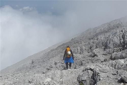 太阳成集团tyc7111cc