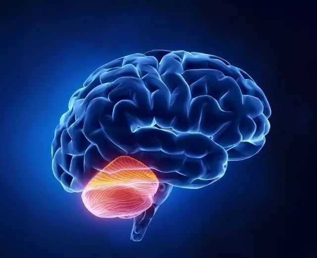 太阳成集团tyc7111cc