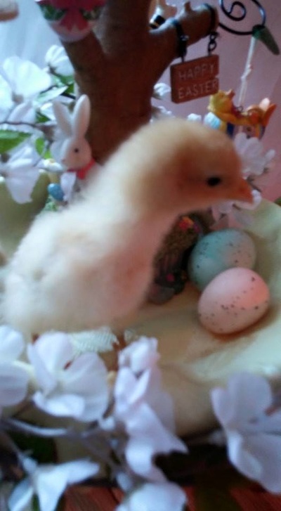 太阳成集团tyc7111cc