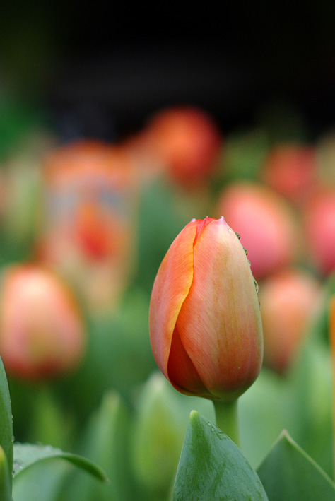 太阳成集团tyc7111cc