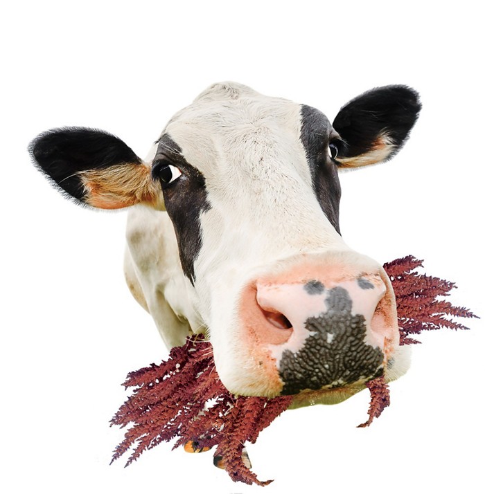 太阳成集团tyc7111cc