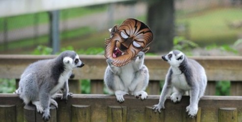 太阳成集团tyc7111cc