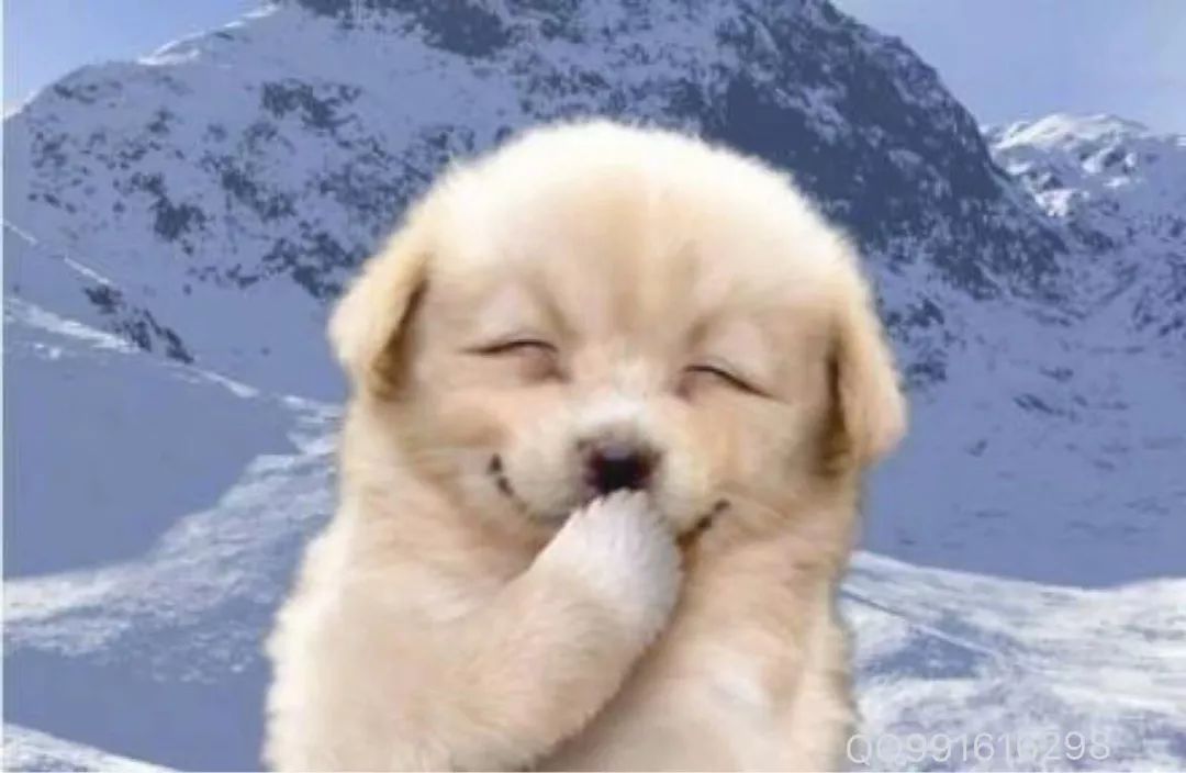 太阳成集团tyc7111cc