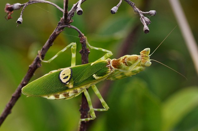 太阳成集团tyc7111cc