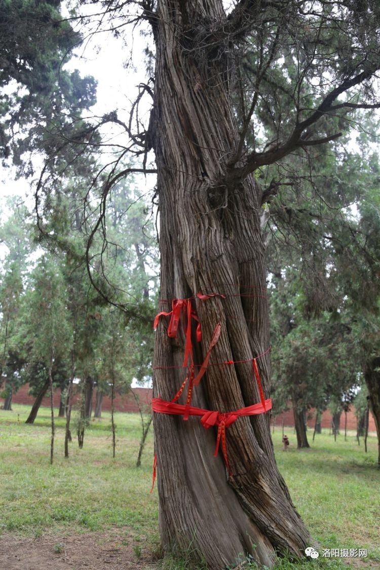 太阳成集团tyc7111cc