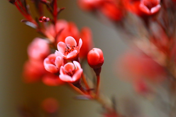 太阳成集团tyc7111cc