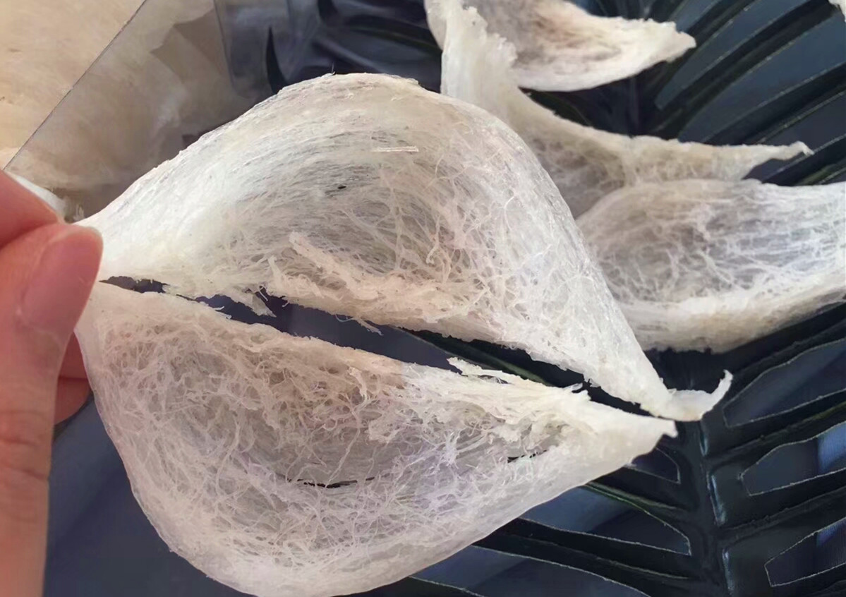 太阳成集团tyc7111cc