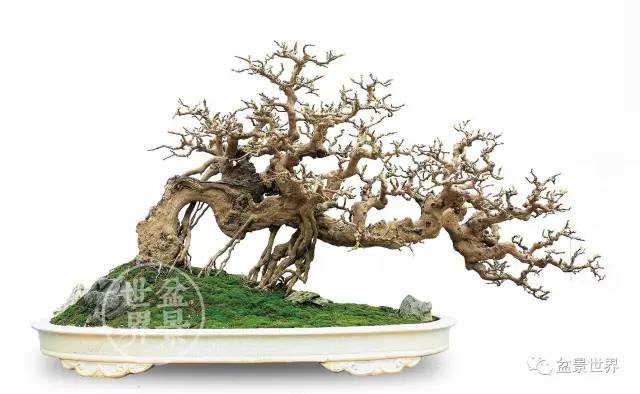 太阳成集团tyc7111cc