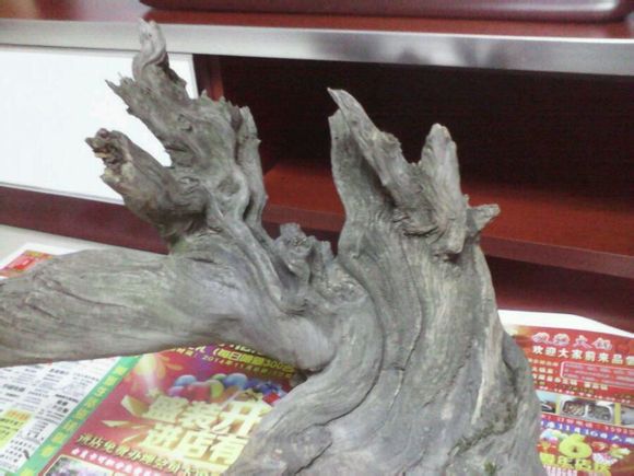 太阳成集团tyc7111cc