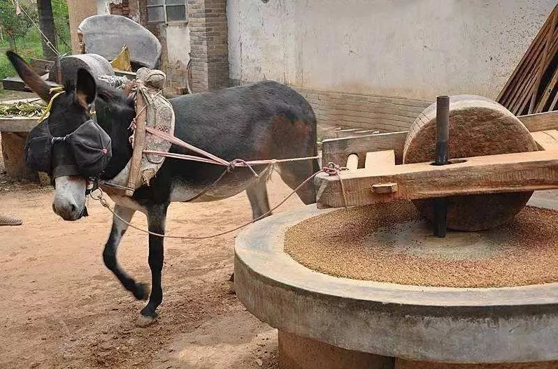 太阳成集团tyc7111cc