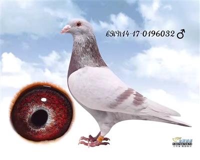 太阳成集团tyc7111cc