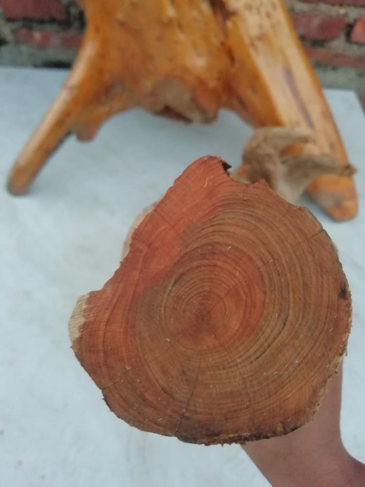 太阳成集团tyc7111cc