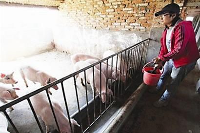 太阳成集团tyc7111cc