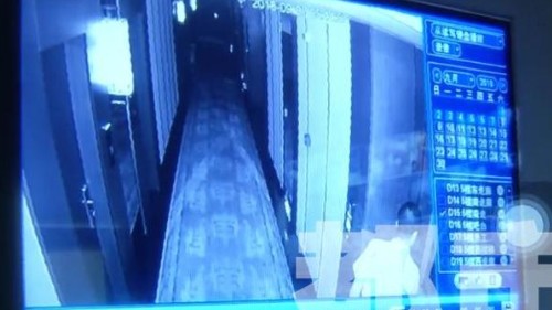 太阳成集团tyc7111cc