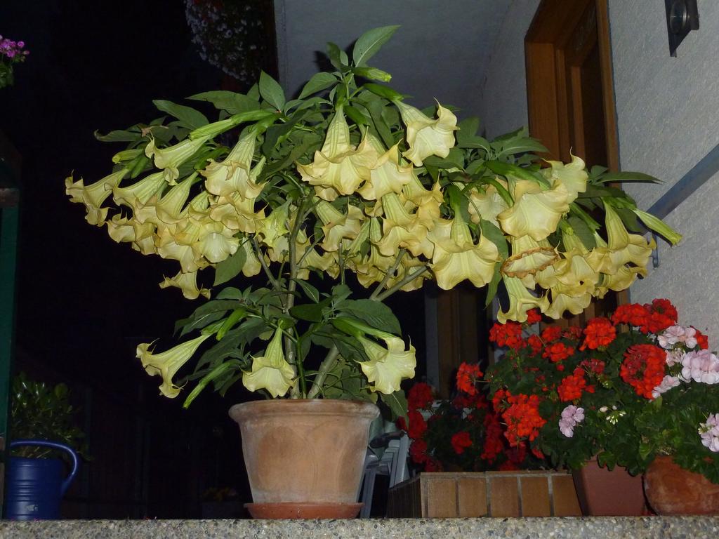 太阳成集团tyc7111cc