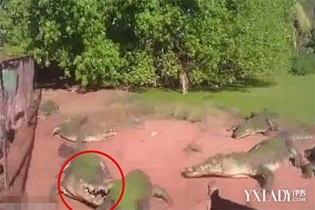 太阳成集团tyc7111cc