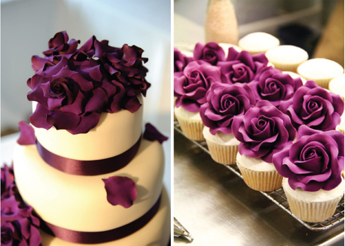 太阳成集团tyc7111cc